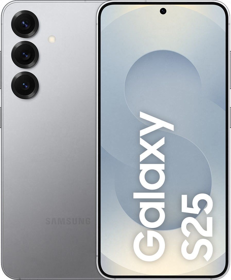 Samsung Galaxy S25 12/256gb Silver Shadow